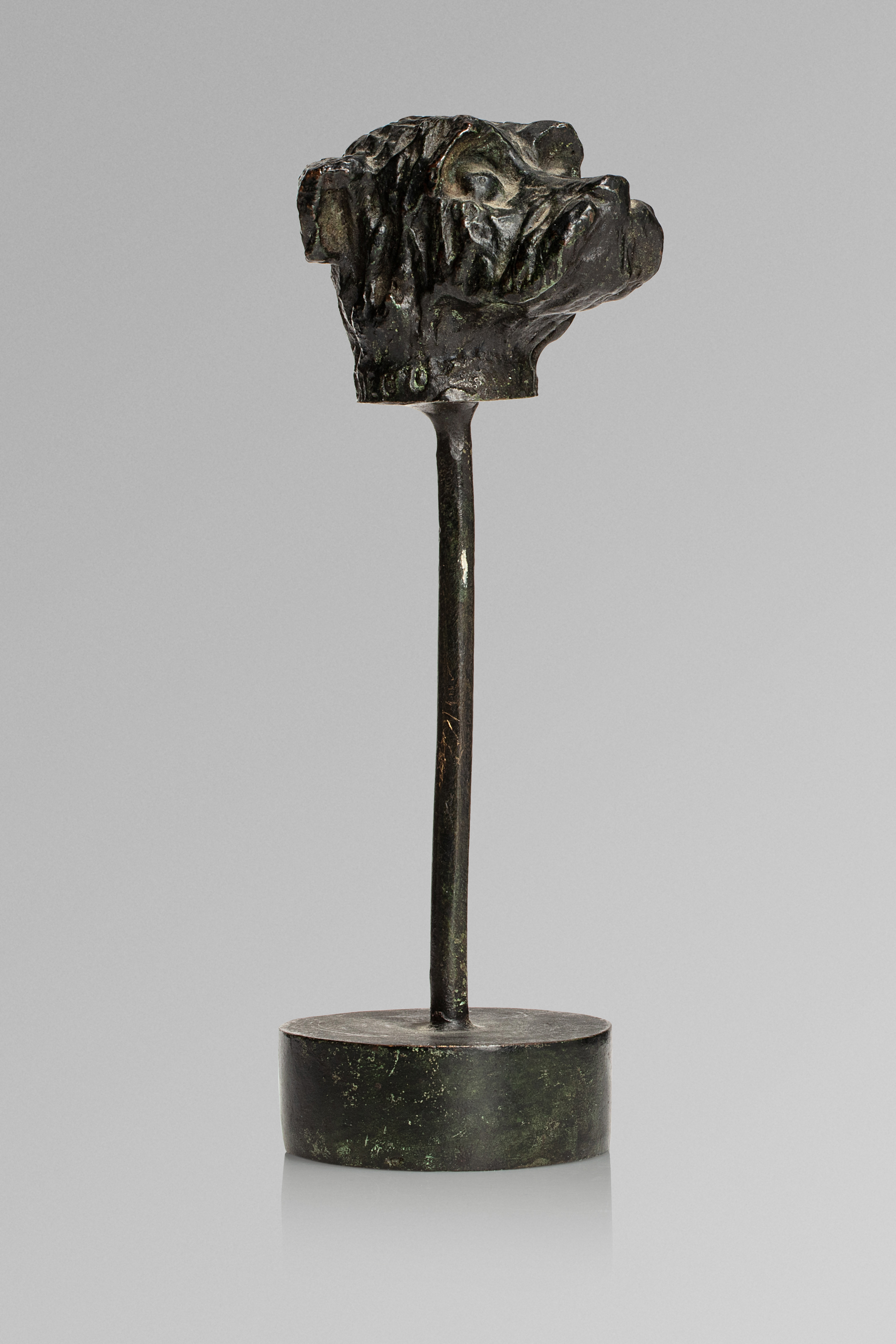 Diego Giacometti : &quot;Tête du chien Willy&quot;, circa 1980